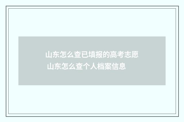 山东怎么查已填报的高考志愿 山东怎么查个人档案信息