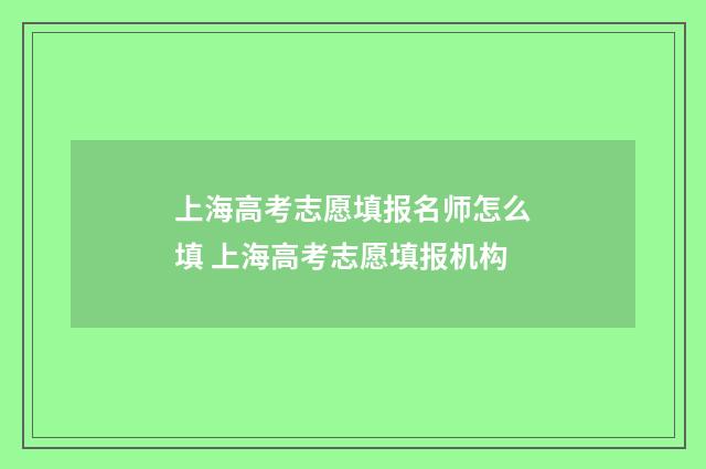 上海高考志愿填报名师怎么填 上海高考志愿填报机构