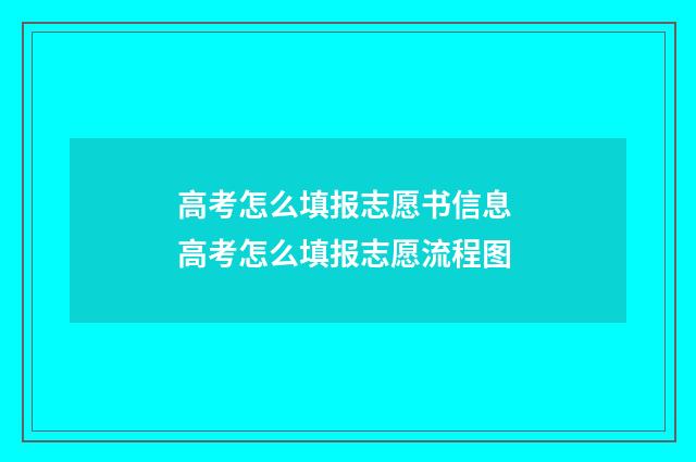 高考怎么填报志愿书信息 高考怎么填报志愿流程图