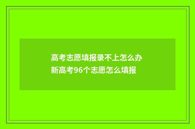 高考志愿填报录不上怎么办 新高考96个志愿怎么填报