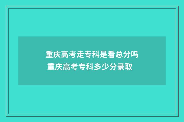 重庆高考走专科是看总分吗 重庆高考专科多少分录取
