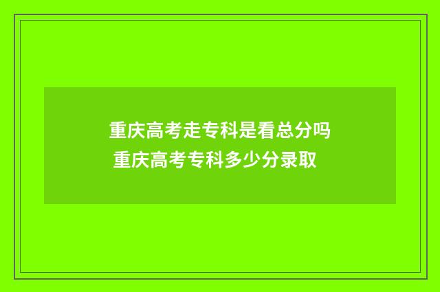 重庆高考走专科是看总分吗 重庆高考专科多少分录取