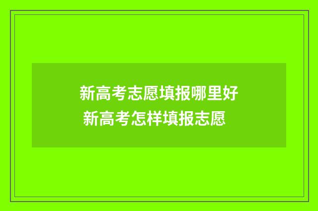 新高考志愿填报哪里好 新高考怎样填报志愿