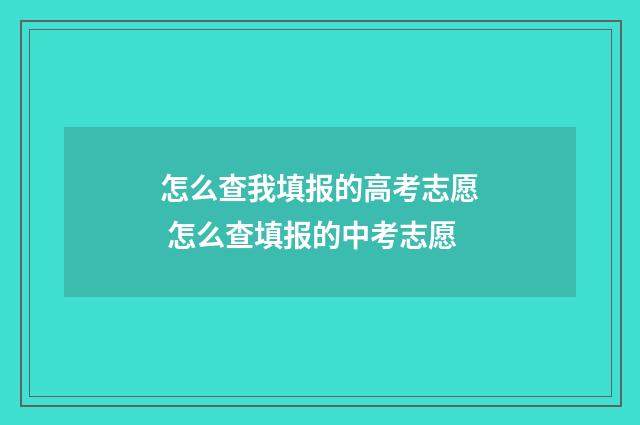 怎么查我填报的高考志愿 怎么查填报的中考志愿