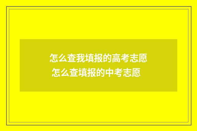 怎么查我填报的高考志愿 怎么查填报的中考志愿