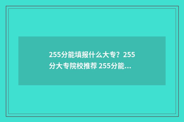 255分能填报什么大专？255分大专院校推荐 255分能填报什么专业