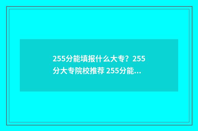 255分能填报什么大专？255分大专院校推荐 255分能填报什么专业