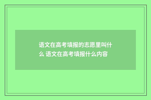 语文在高考填报的志愿里叫什么 语文在高考填报什么内容