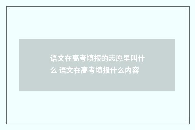 语文在高考填报的志愿里叫什么 语文在高考填报什么内容
