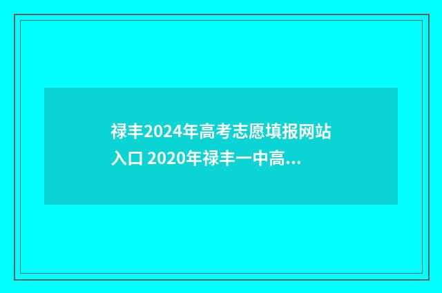 禄丰2024年高考志愿填报网站入口 2020年禄丰一中高考喜报