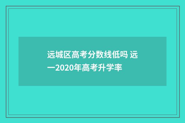 远城区高考分数线低吗 远一2020年高考升学率