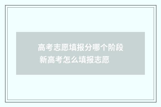 高考志愿填报分哪个阶段 新高考怎么填报志愿