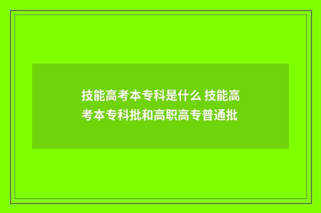 技能高考本专科是什么 技能高考本专科批和高职高专普通批