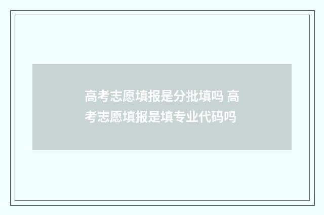 高考志愿填报是分批填吗 高考志愿填报是填专业代码吗