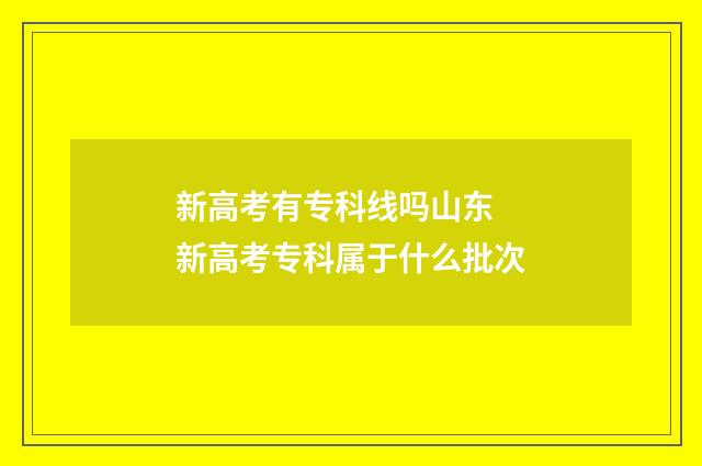 新高考有专科线吗山东 新高考专科属于什么批次