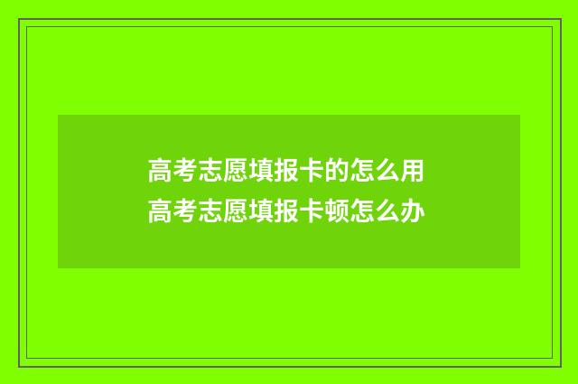 高考志愿填报卡的怎么用 高考志愿填报卡顿怎么办