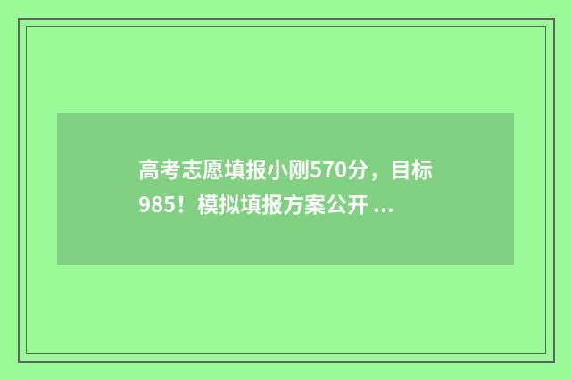高考志愿填报小刚570分，目标985！模拟填报方案公开 高考志愿填报小语种专业