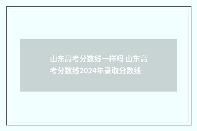 山东高考分数线一样吗 山东高考分数线2024年录取分数线