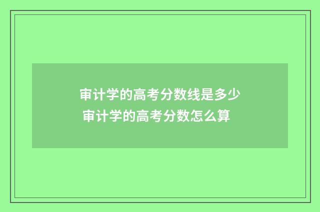 审计学的高考分数线是多少 审计学的高考分数怎么算