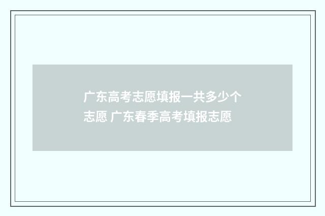 广东高考志愿填报一共多少个志愿 广东春季高考填报志愿