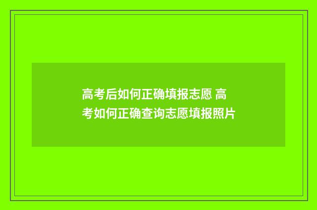 高考后如何正确填报志愿 高考如何正确查询志愿填报照片