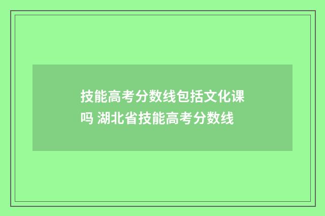 技能高考分数线包括文化课吗 湖北省技能高考分数线