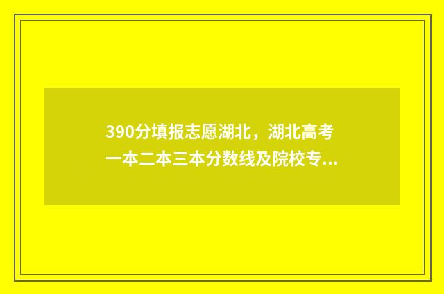 390分填报志愿湖北，湖北高考一本二本三本分数线及院校专业一览 390高考志愿