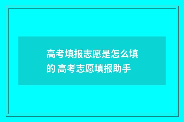 高考填报志愿是怎么填的 高考志愿填报助手