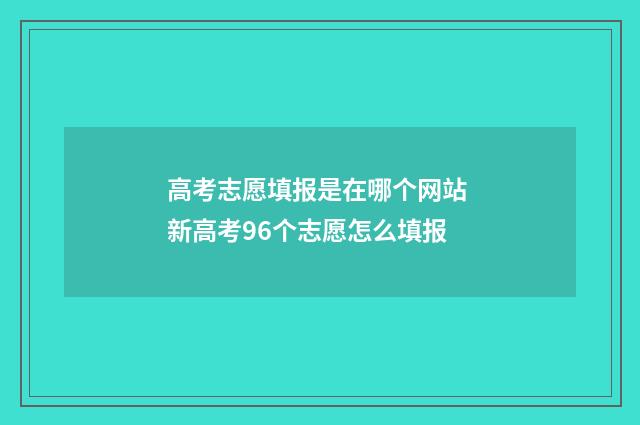 高考志愿填报是在哪个网站 新高考96个志愿怎么填报