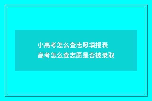 小高考怎么查志愿填报表 高考怎么查志愿是否被录取