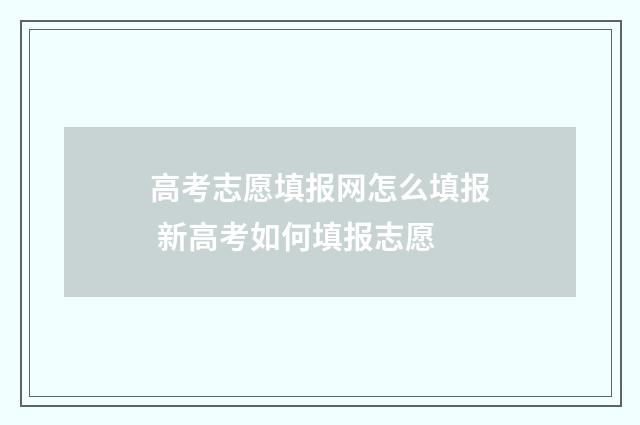 高考志愿填报网怎么填报 新高考如何填报志愿