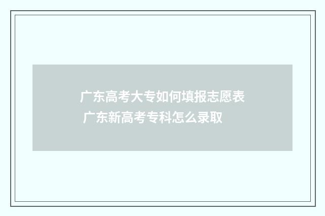广东高考大专如何填报志愿表 广东新高考专科怎么录取