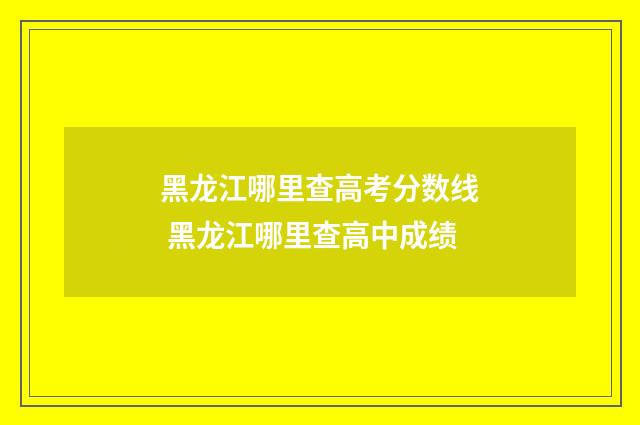 黑龙江哪里查高考分数线 黑龙江哪里查高中成绩
