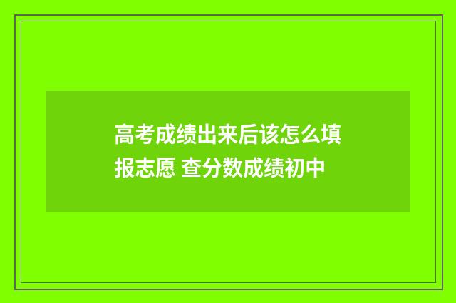 高考成绩出来后该怎么填报志愿 查分数成绩初中