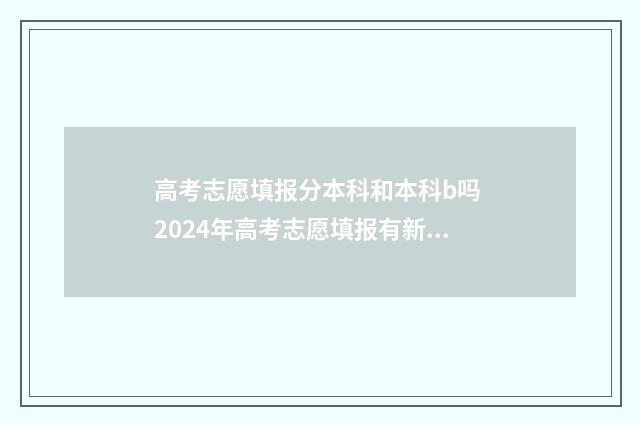 高考志愿填报分本科和本科b吗 2024年高考志愿填报有新政策