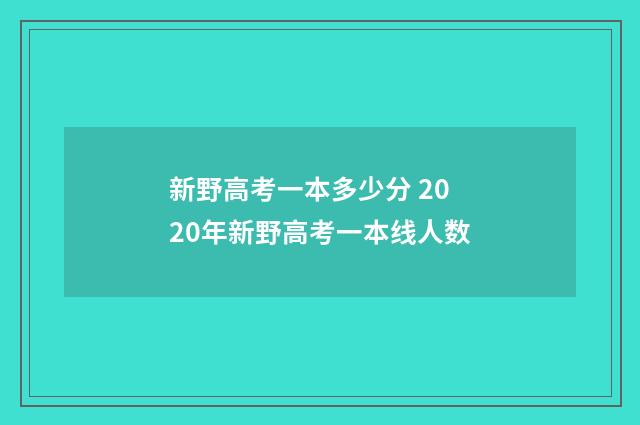 新野高考一本多少分 2020年新野高考一本线人数