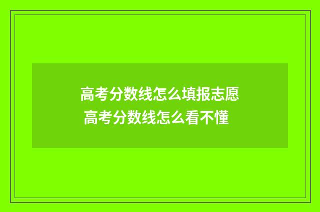 高考分数线怎么填报志愿 高考分数线怎么看不懂