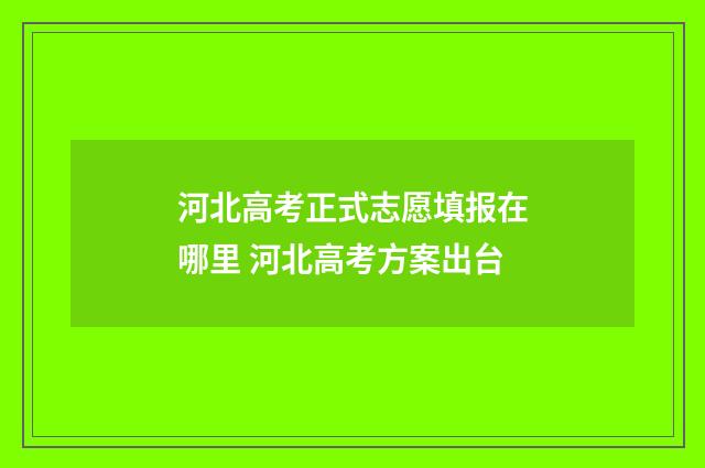 河北高考正式志愿填报在哪里 河北高考方案出台