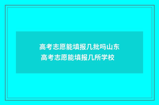 高考志愿能填报几批吗山东 高考志愿能填报几所学校