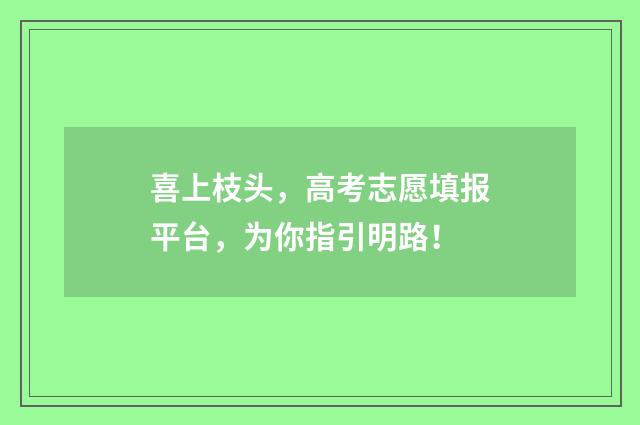 喜上枝头，高考志愿填报平台，为你指引明路！