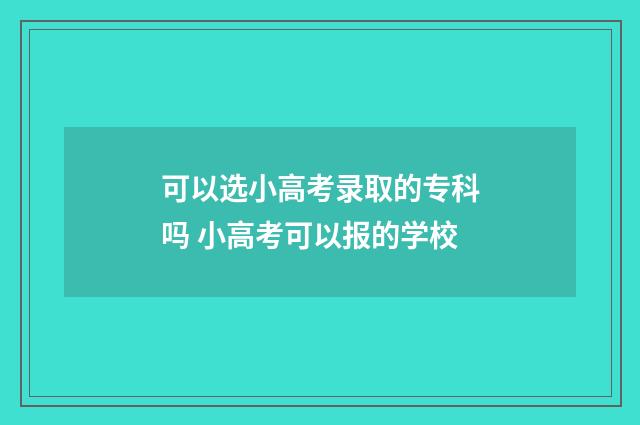 可以选小高考录取的专科吗 小高考可以报的学校