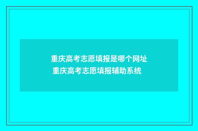 重庆高考志愿填报是哪个网址 重庆高考志愿填报辅助系统