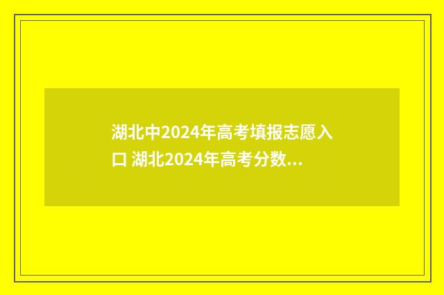 湖北中2024年高考填报志愿入口 湖北2024年高考分数线