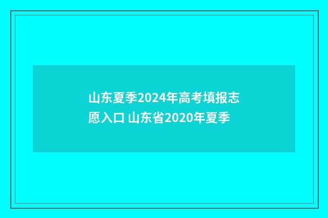 山东夏季2024年高考填报志愿入口 山东省2020年夏季
