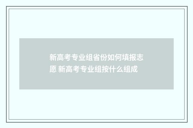 新高考专业组省份如何填报志愿 新高考专业组按什么组成