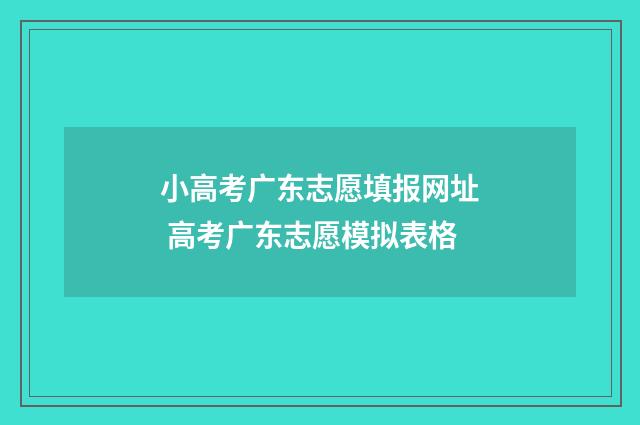 小高考广东志愿填报网址 高考广东志愿模拟表格