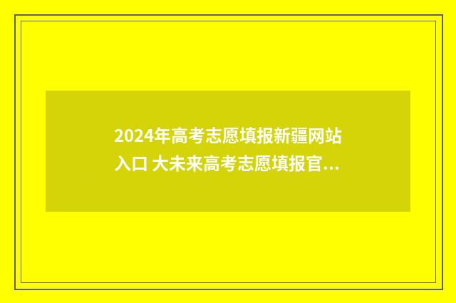 2024年高考志愿填报新疆网站入口 大未来高考志愿填报官网