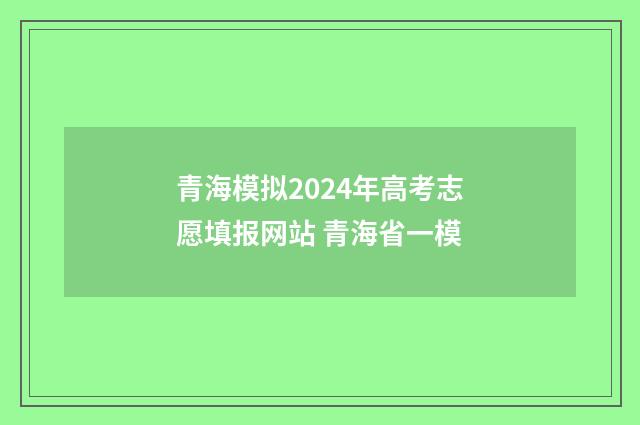 青海模拟2024年高考志愿填报网站 青海省一模
