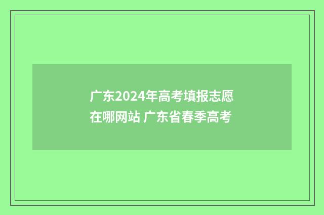 广东2024年高考填报志愿在哪网站 广东省春季高考