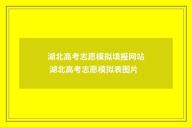 湖北高考志愿模拟填报网站 湖北高考志愿模拟表图片